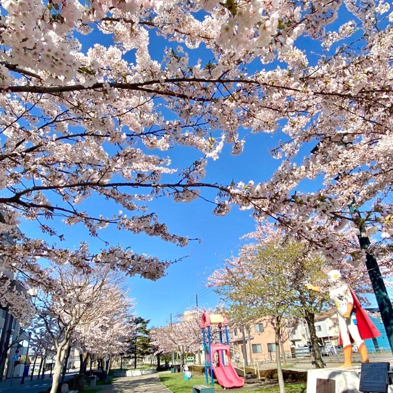 Hotel Promote Hakodate Exterior photo